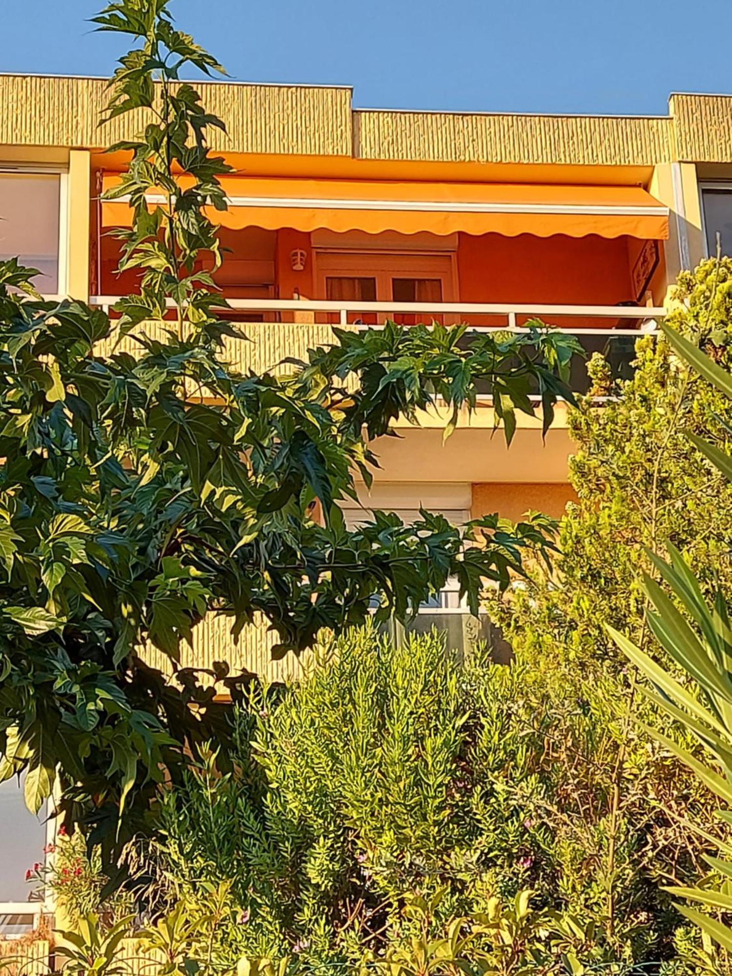 Ferienwohnung T2-Clim-Fibre-Garage 2,30 X 4,95 X 1,90 A La Faviere Bormes-les-Mimosas Exterior foto
